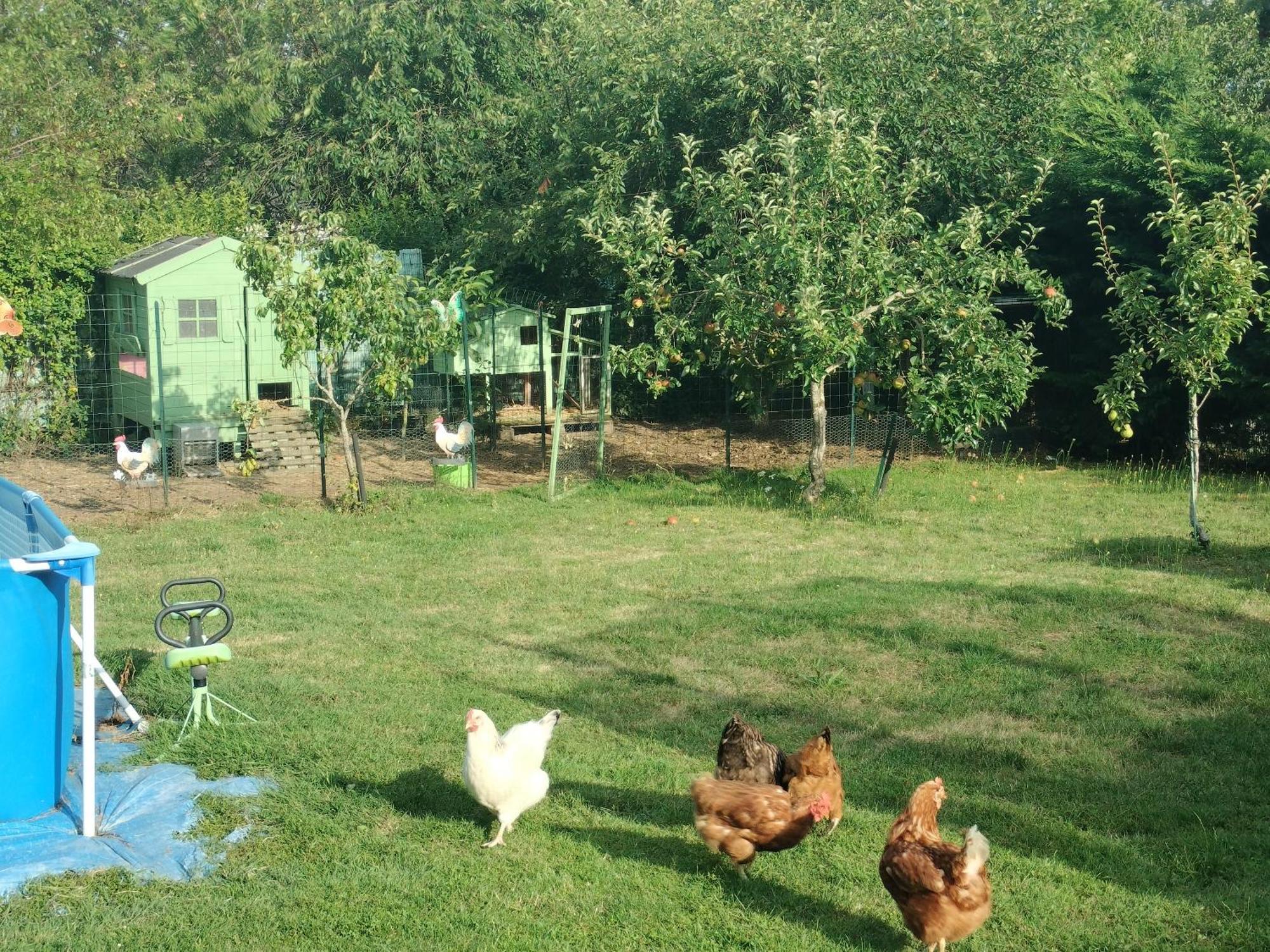 Un Studio Avec Une Entree Independante Thilouze Экстерьер фото